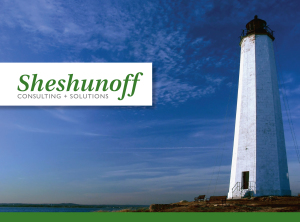 SheshunoffConsulting
