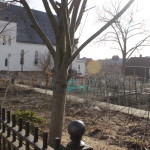 Colleen Sullivan | Banker & Tradesman