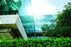 Sustainable glass office building with tree and hedge in front