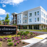 Hot Property: The Elmwood