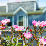 The front of a cedar shingle house with pink flowers growing in the foreground.