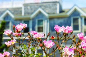 The front of a cedar shingle house with pink flowers growing in the foreground.
